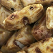 Czech Glass beads Carrier Bead 2 holes 9x17 mm Opaque Dark Travertin x10|raw }}