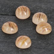 Resin cabochon imitation Gemstone 6 mm Quartz Rutile x1