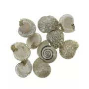 Assortment of mini shells 10 mm Natural Brown for DIY jewelry creation x10