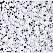 Miyuki Seed beads 11/0 131FR - Crystal Mat AB