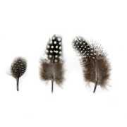 Feathers 4 to 8 cm for decoration and DIY jewelry creation - Natural x3gr