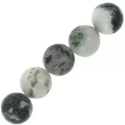 Round gemstones 10 mm Tree Agate x5