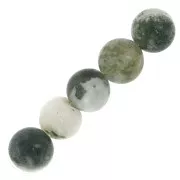 Round gemstones 8 mm Tree Agate x10