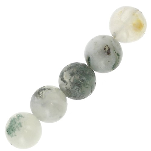 Round gemstones 6 mm Tree Agate x15