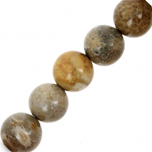 Beads Fossil Coral 10mm x5