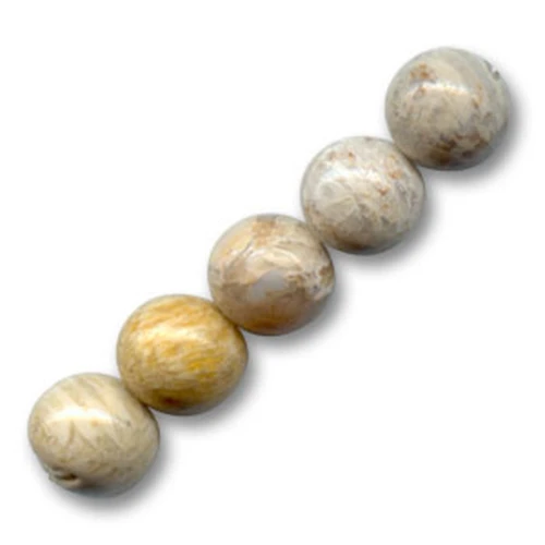 Beads Fossil Coral 8mm x10