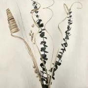 Dried and yellow gypsophila flower for DIY creations x1 stalk