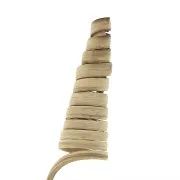 Natural Cane Cone - Dried flower for DIY creations x1 stalk