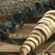 Natural Cane Cone - Dried flower for DIY creations x1 stalk