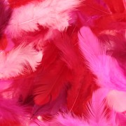 Feathers 8 to 12 cm for DIY jewelry and decoration - Red/Pink x10gr
