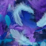 Feathers 8 to 12 cm for DIY jewelry and decoration - Blue/Purple x10g