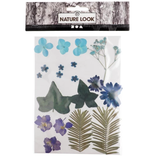 Assortment of dried flowers and leaves - Bleu x1