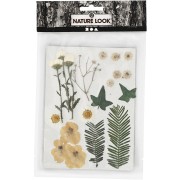 Assortment of dried flowers and leaves for DIY creation - White x1