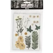 Assortment of dried flowers and leaves for DIY creation - White x1