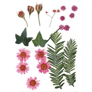 Assortment of dried flowers and leaves for DIY creation - Pink x1