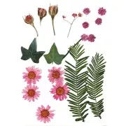 Assortment of dried flowers and leaves for DIY creation - Pink x1