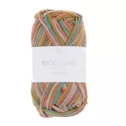 Ricorumi Cotton by Rico Design for Amigurumi Print Multicolored 004 x25g
