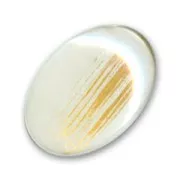 Cabochon 18x13mm White/Gold x1