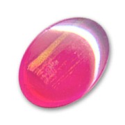 Cabochon 18x13mm Rose/Gold x1