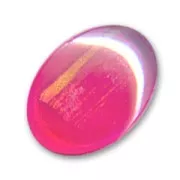 Cabochon 18x13mm Rose/Gold x1