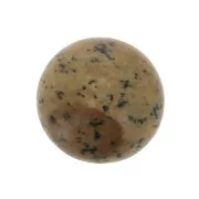 Round cabochon 10 mm Picture Jasper x1