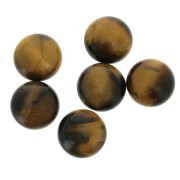 Round cabochon 12 mm Tiger eye x1