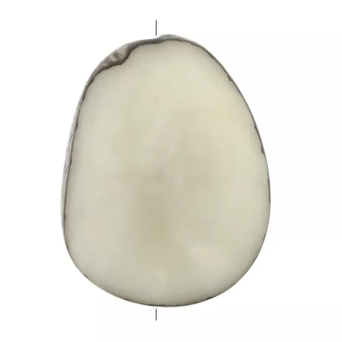 Worked tagua seed 35-50 mm Ivory x1