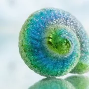 50 to 630µm Preciosa Ornella Brown Glass Microbeads No-hole x50g