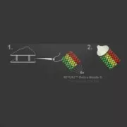 925 Sterling Silver 9mm lobster claw clasp for Miyuki 11/0 6 rows Gold plated x1