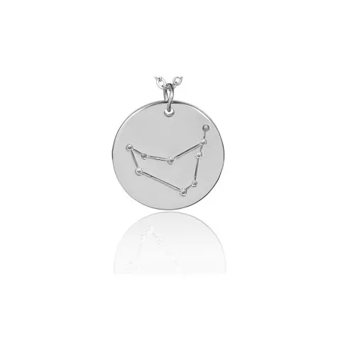 20mm Stainless Steel Capricorn Zodiac sign pendant with open jump ring x1