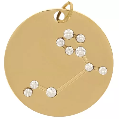 20mm Stainless Steel Leo Zodiac sign pendant with open jump ring - Gold Tone x1