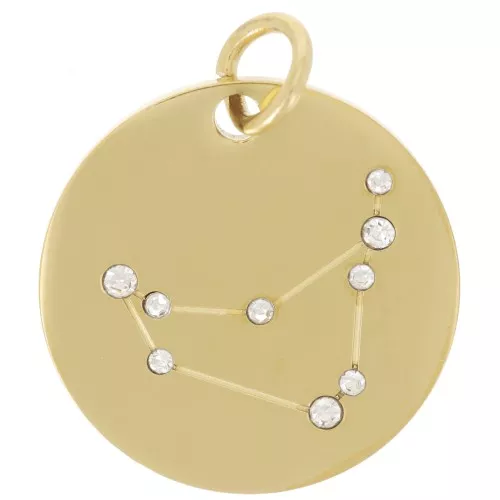 20mm Stainless Steel Capricorn sign pendant with open jump ring - Gold Tone x1