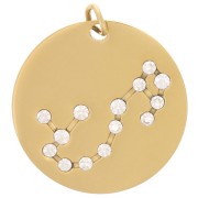20mm Stainless Steel Scorpio sign pendant with open jump ring - Gold Tone x1