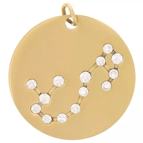 20mm Stainless Steel Scorpio sign pendant with open jump ring - Gold Tone x1