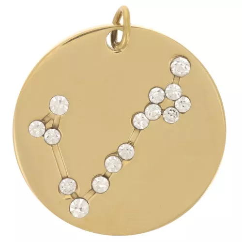 20mm Stainless Steel Pisces Zodiac sign pendant with open jump ring - Gold Tone x1