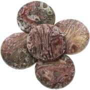 25mm Round cabochon - Leopard Jaspe x1