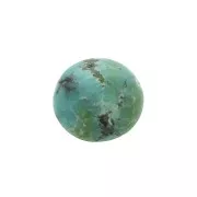 6mm Genuine Turquoise round Cabochon x1
