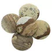 25mm Round cabochon - Picture Jasper x1
