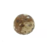 6mm Gemstone round Cabochon - Picture Jasper x1