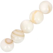 8 mm Round Shell Beads - Natural x10
