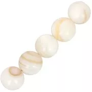 8 mm Round Shell Beads - Natural x10