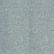 Embossing powder Silver x 25ml|raw }}