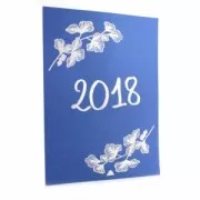 Embossing powder Silver x 25ml