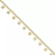 5.4mm Curb chain with small stars - Satin Gold Tone x50cm