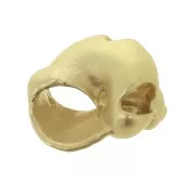 14x12mm Shell pendant - Satin Gold Tone x1