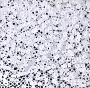 Miyuki Delica 11/0  DB0741 - Crystal Mat - Wholesale x 100g|raw }}