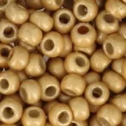 Toho seed beads 11/0 TO11RPF557F - PF Galvanized Starlight Mat