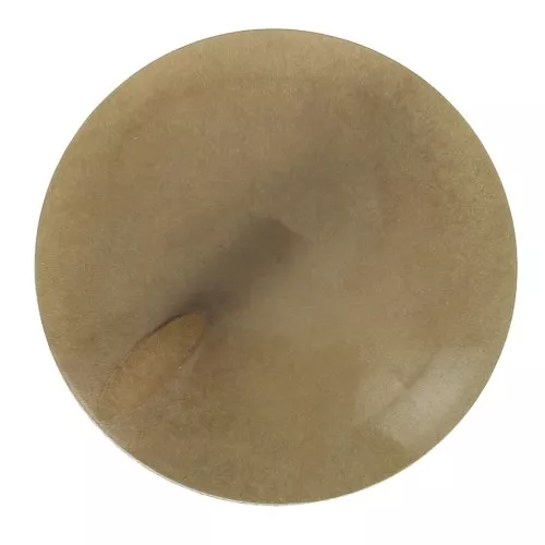 20mm Flat round Tagua bead - Light Brown x1