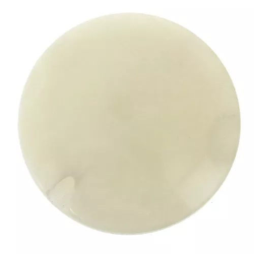 20mm Flat round Tagua bead - Ivory x1