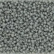 Miyuki Seed beads 11/0 4705 - Opaque Glazed Cadet Grey Mat AB x8g